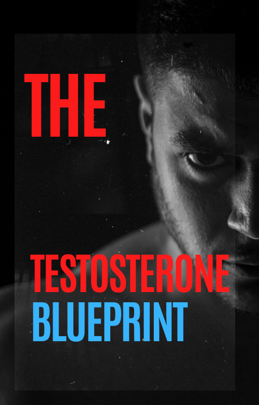 The Testosterone Blueprint